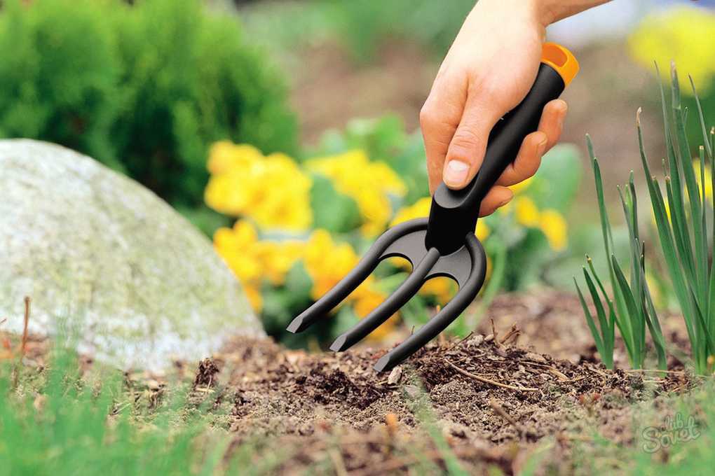 Инструкция по уходу за малиной весной после зимы и советы бывалых садоводов