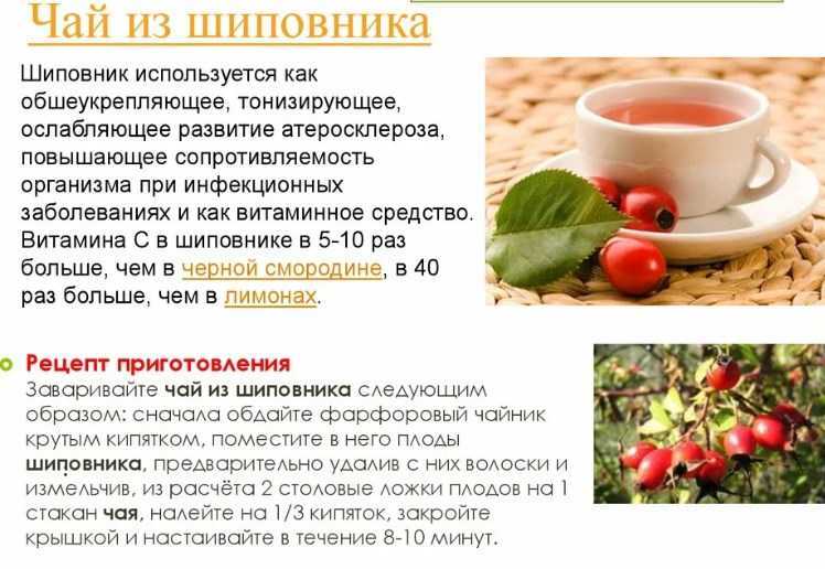 Крыжовник - польза и вред для здоровья человека, лечебные свойства ягод
