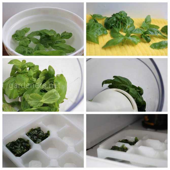 Заморозка овощей на зиму в домашних условиях: способы