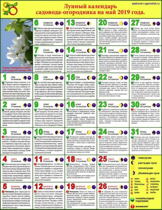 Лунный посевной календарь на май 2021 для садовода, огородника и цветовода