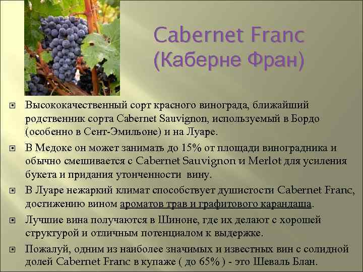 Гибридный сорт винограда долгожданный