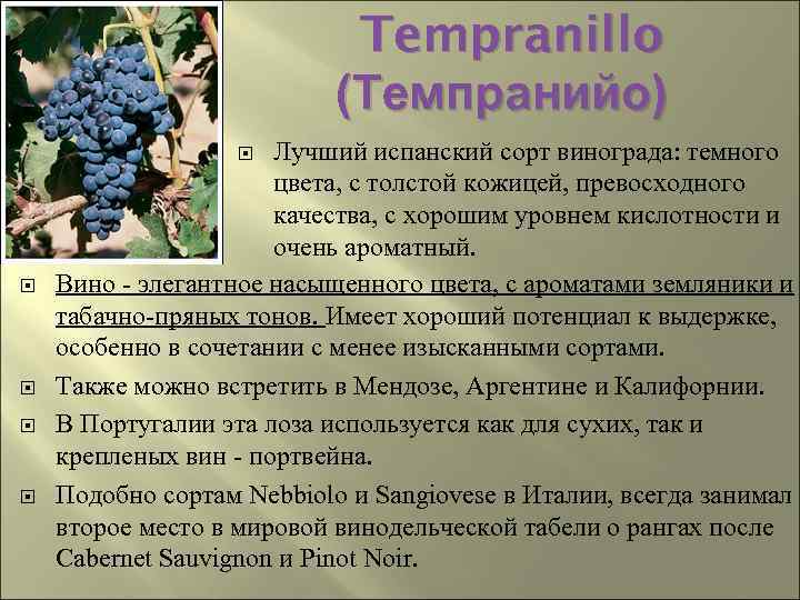 Сорт винограда тимур: описание и характеристика