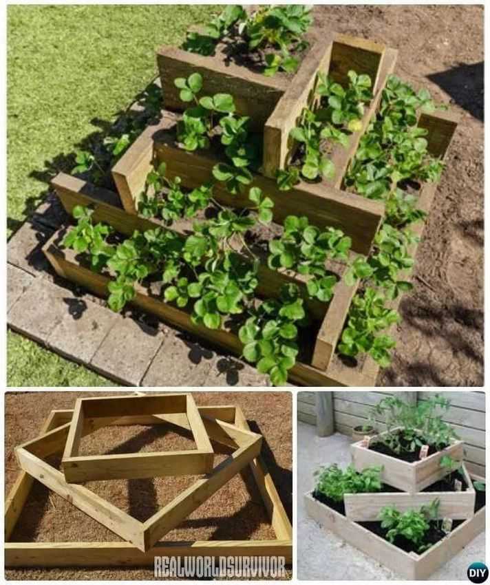 Как можно выращивать клубнику на маленькой площади
