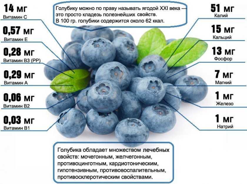 Синяя ягода: фото и название, польза для здоровья человека