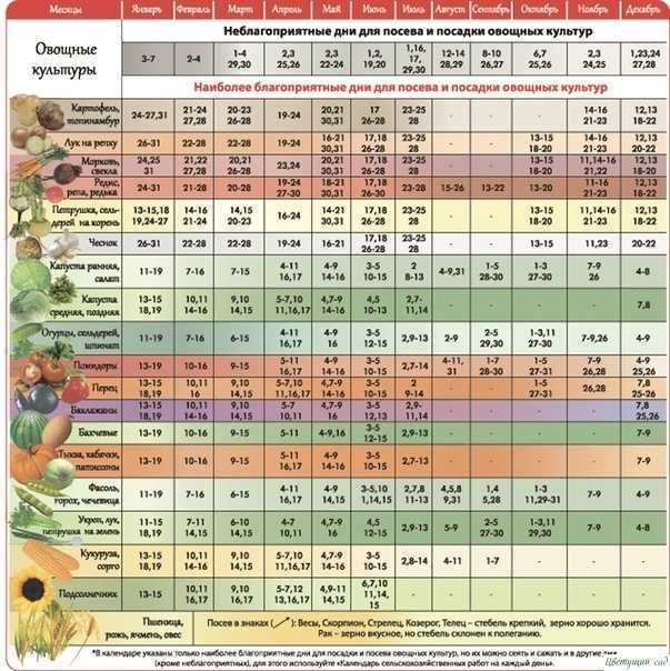 Лунный календарь посева семян на 2021 год для сибири и урала: таблица посадок по месяцам