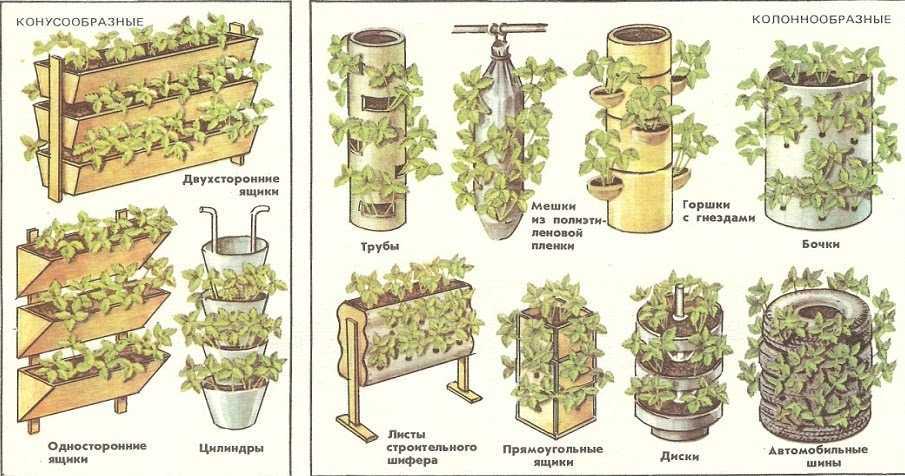 Высокие грядки для клубники: особенности финской технологии выращивания