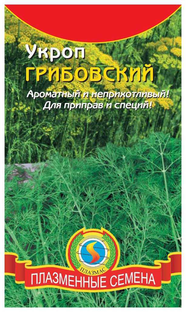 Укроп грибовский: описание и характеристика сорта, выращивание с фото