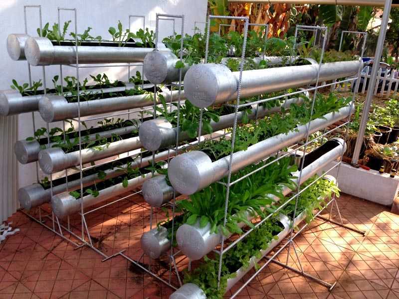 Выращивание клубники в трубах пвх – инструкция для начинающих - огород, сад, балкон - медиаплатформа миртесен