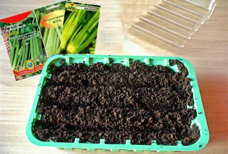 Патиссон: выращивание из семян, сорта