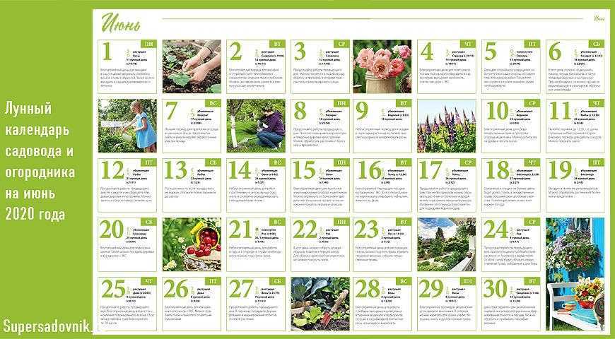 Лунный посевной календарь на май 2020 года садовода и огородника