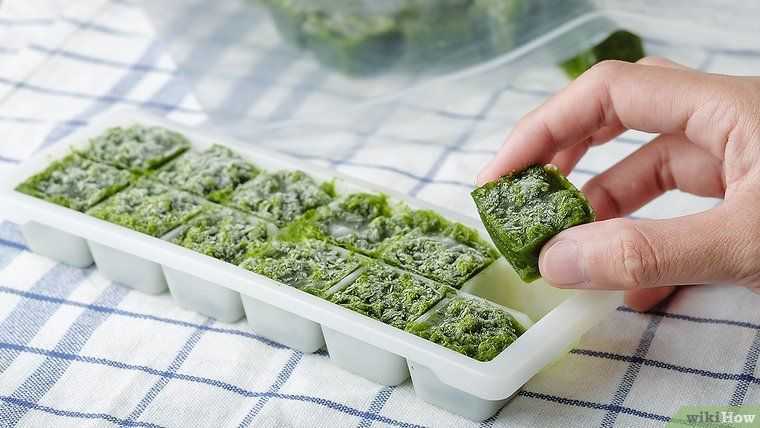 Как хранить базилик долго свежим в холодильнике и иных местах, как заготовить зелень на зиму в домашних условиях, можно ли заморозить, какие рецепты использовать?