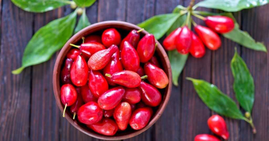Чем полезен кизил – всё о свойствах летней ягоды - зранение, рецепты