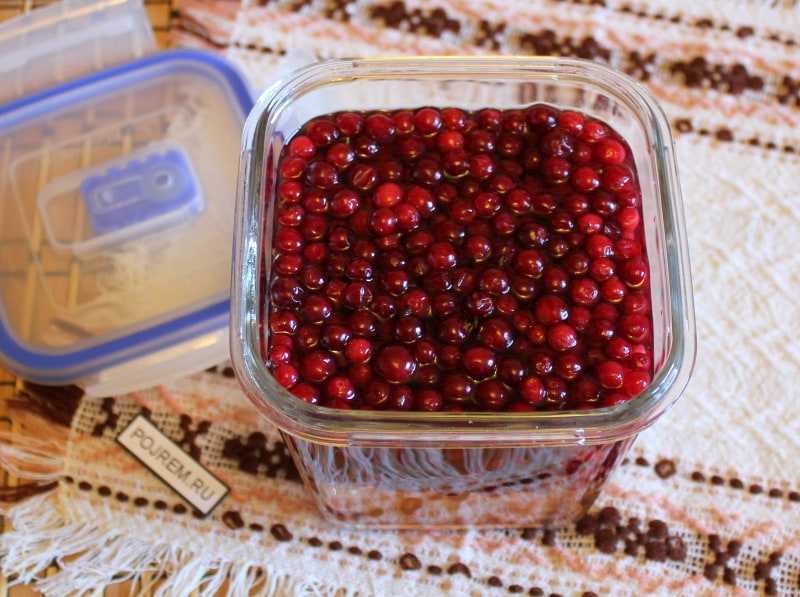 Как хранить клюкву - способы хранения ягод в воде, в холодильнике и на балконе