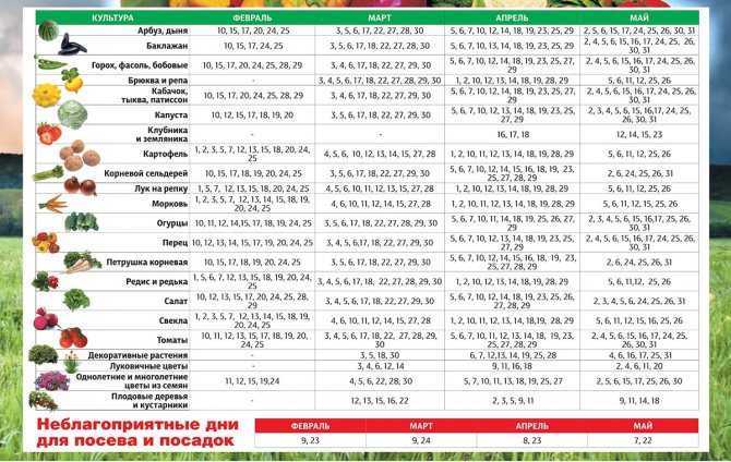 Посевной календарь на 2020 год для Сибири: для Новосибирской области, для западной части Сибири. Лунный календарь садоводов и огородников на 2020 год по месяцам. Неблагоприятные дни.