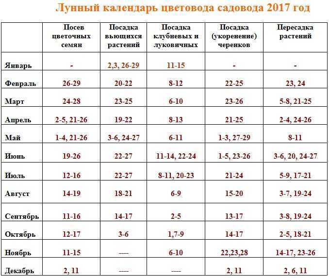 Пересадка комнатных цветов в августе 2020 благоприятные дни по лунному календарю: таблица