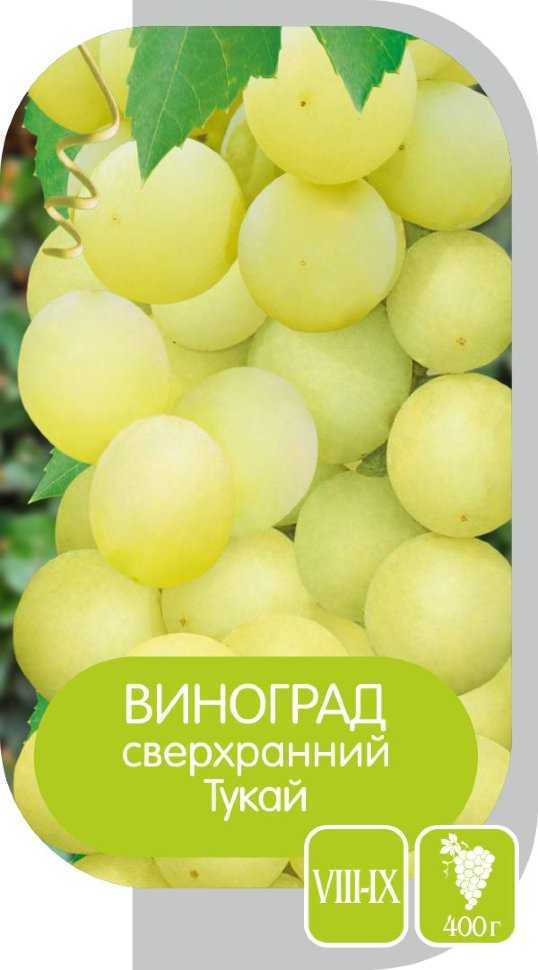 Виноград тукай: описание сорта