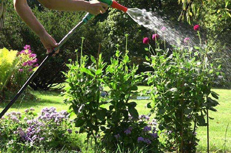 Уход за клубникой весной: правила обработки и советы бывалых садоводов