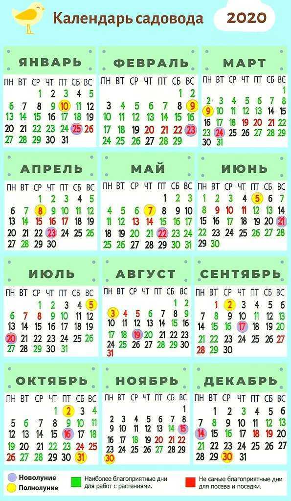 Лунный календарь огородника садовода на август 2020 года
