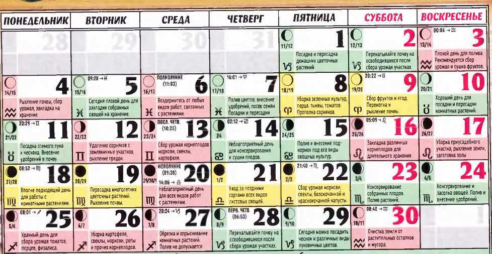 Лунный календарь цветовода на 2021 год: благоприятные дни, посадка, пересадка, уход