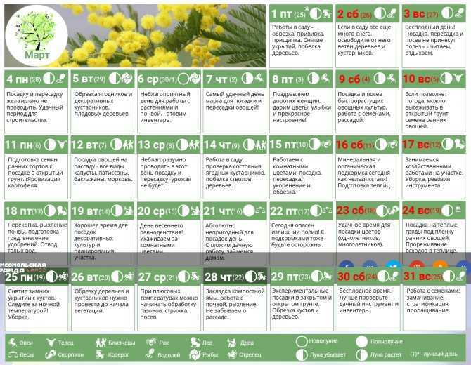Лунный календарь комнатных растений на январь 2020