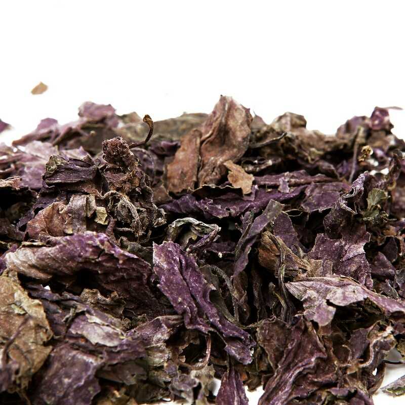 Царская трава или фиолетовый базилик: уникальные свойства, обзор сортов с фото, выращивание и использование