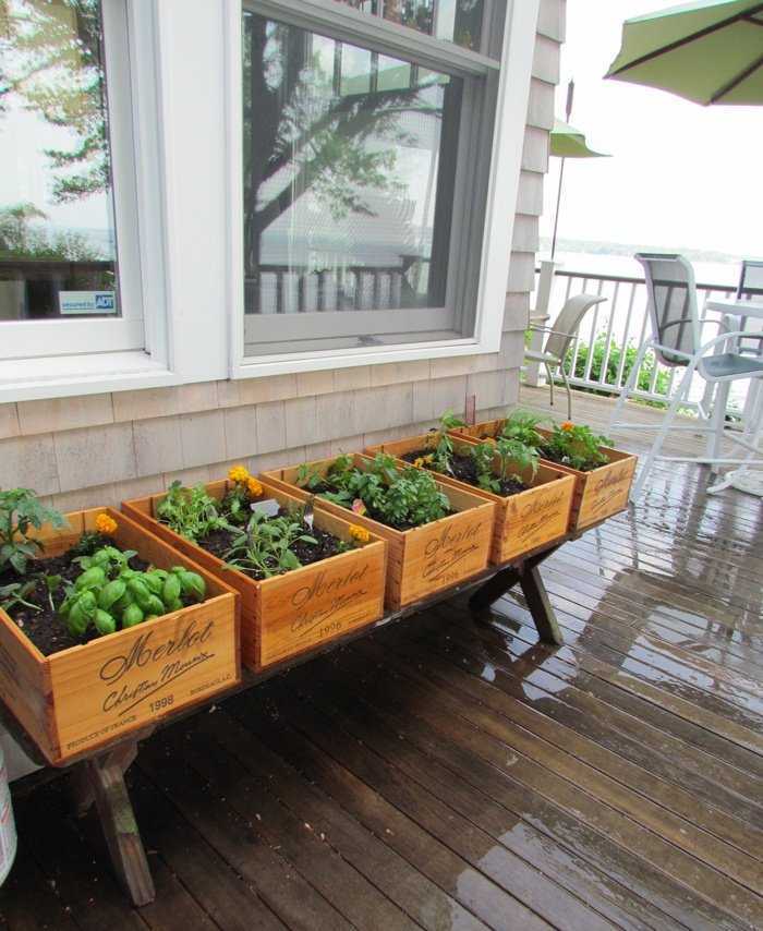 Клубника на балконе – советы по выращиванию от опытных садоводов