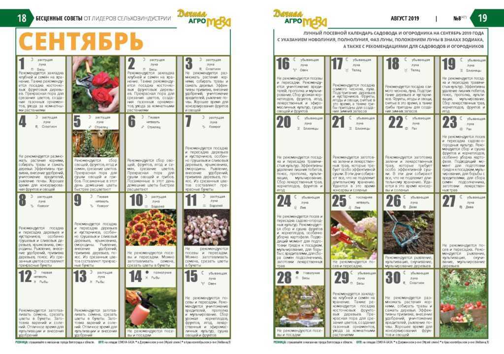 Лунный посевной календарь на май 2021 для садовода, огородника и цветовода