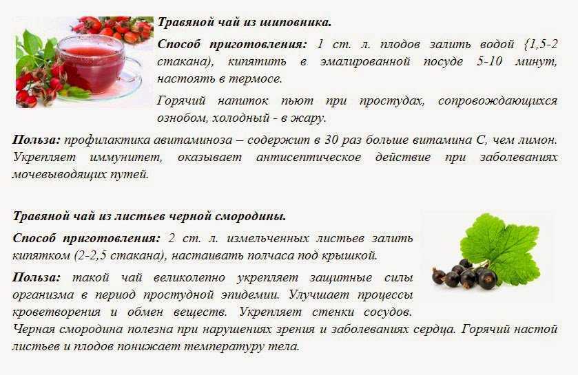 Ирга – особенности ягоды и польза для здоровья