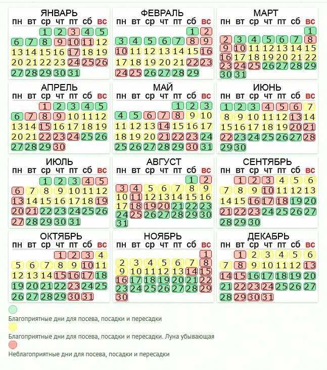 Лунный календарь цветовода март 2021- комнатные растения