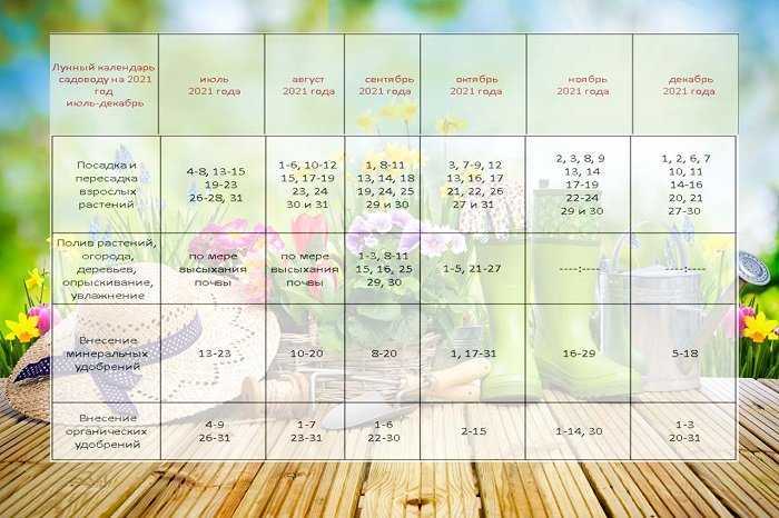 Лунный посевной календарь на 2021 год для огородника и садовода по месяцам с фазами луны, таблицы