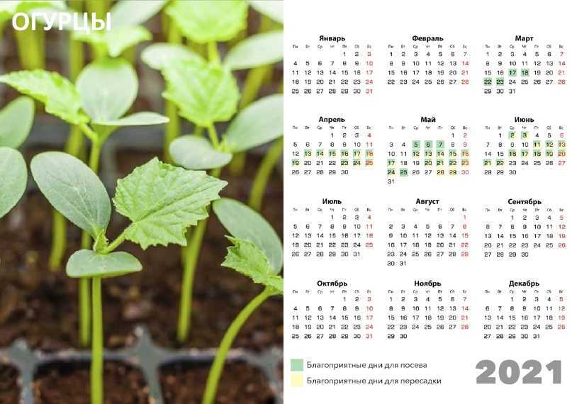 Лунный посевной календарь огородника и садовода на 2021 год по месяцам в таблицах