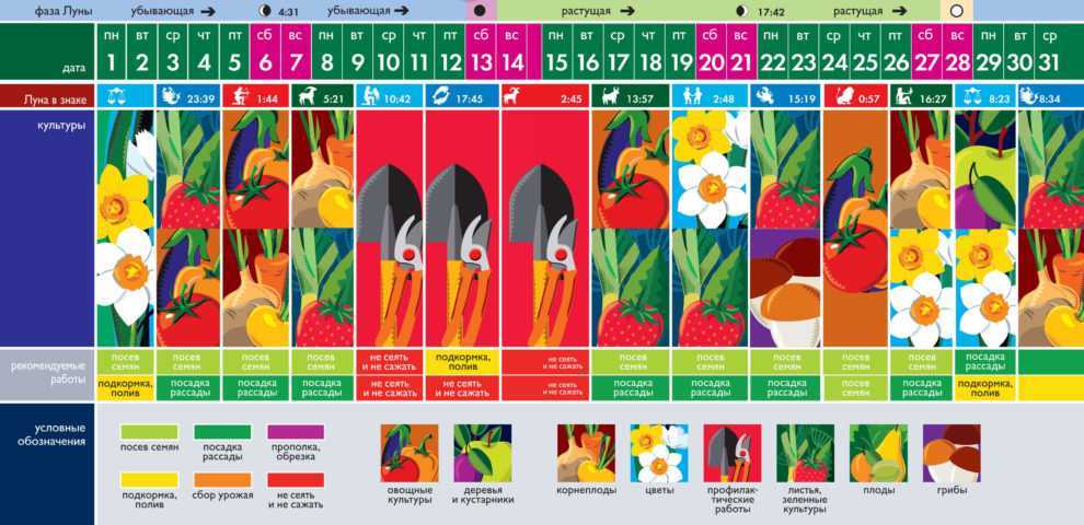 Сентябрь 2021 – лунный посевной календарь садовода, огородника и цветовода!