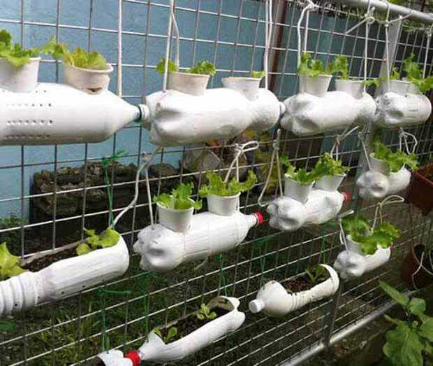 Вертикальные грядки для клубники своими руками при выращивании