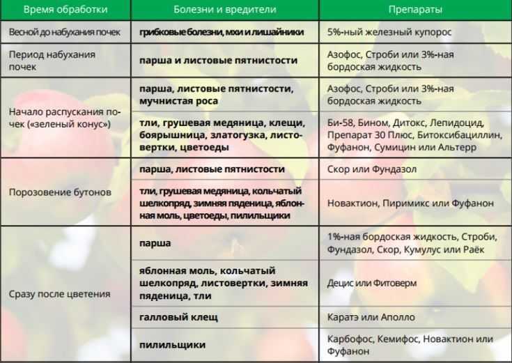 Медный купорос: инструкция применения в садоводстве в зависимости от вида растений и болезней