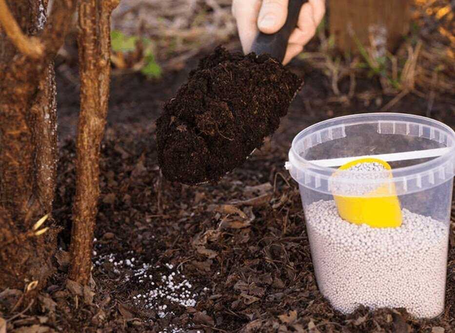 Как подкислить почву - 4 лучших способа