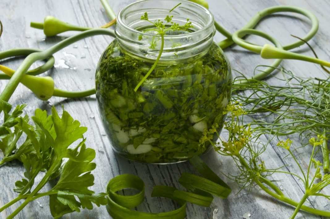 Соленая зелень: 13 рецептов заготовок на зиму » сусеки