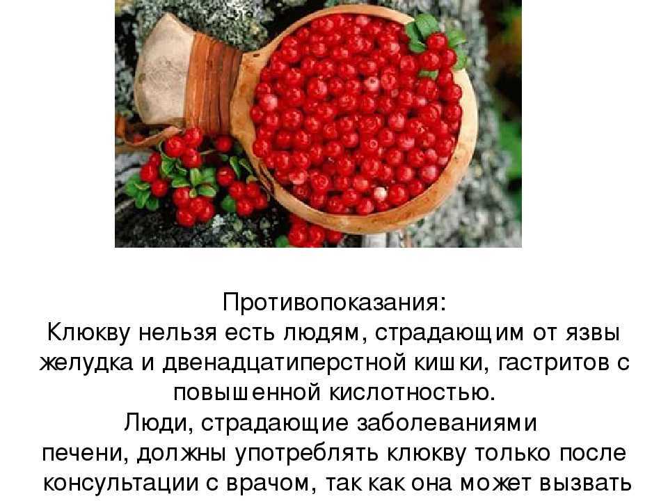 Сушеная клюква-ягода здоровья
