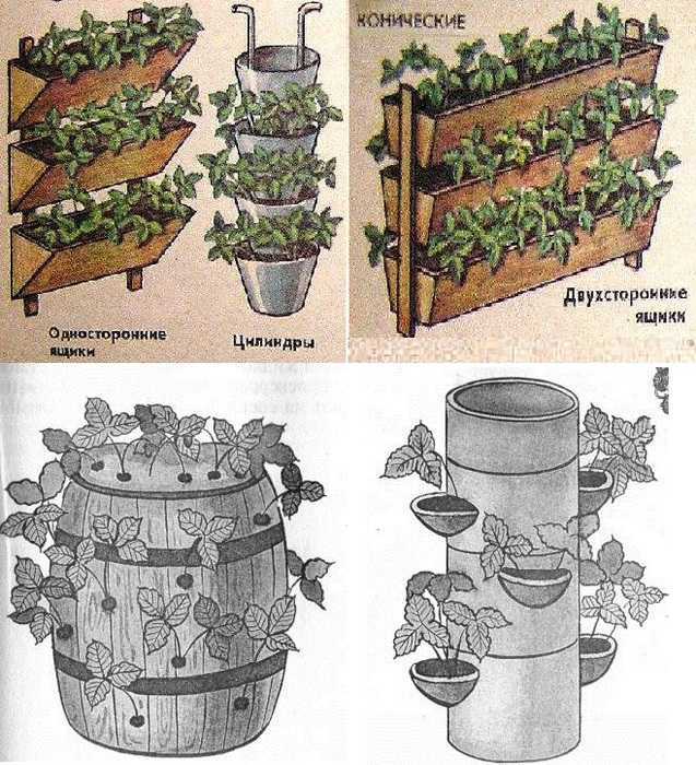 Вертикальные грядки для клубники: как правильно поливать и эффективно выращивать клубнику (120 фото + видео)